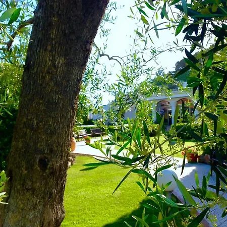 D'altavilla Hotel Canosa di Puglia